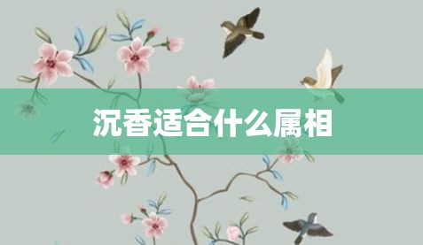 沉香五行屬什么_沉香木五行屬什么_沉香手串五行屬性