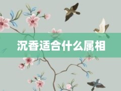 沉香適合什么屬相