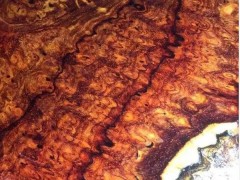 漲知識：6種頂級小葉紫檀，哪一種更具收藏價值？