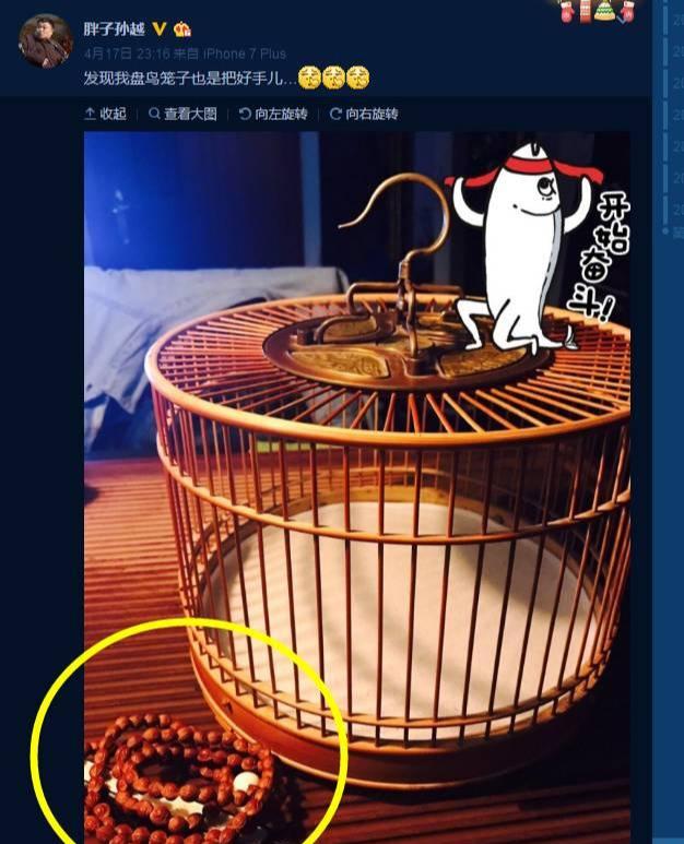 龍紋桃核手串如何包漿把玩_龍紋桃核手串能辟邪嗎_龍紋桃核手串