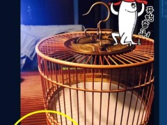 這手串包漿后這么美！難怪德云社第一胖到哪兒都戴著它