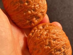 解密！最火的網(wǎng)紅文玩核桃泥鰍背，到底是什么品種