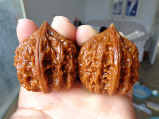 手盤核桃對身體有什么好處_長期盤核桃的手_盤核桃對手