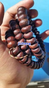 菩提值不值錢_菩提子值錢不_什么菩提子最好收藏價(jià)值最高