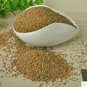 鹽黃柏的性味歸經(jīng)_鹽黃柏的功效與作用的功能與主治_鹽黃柏中藥的功效與作用