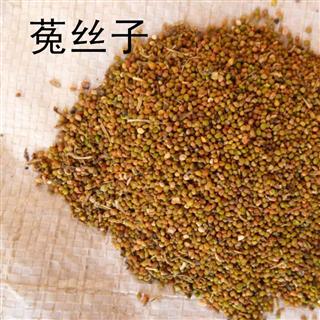 鹽黃柏中藥的功效與作用_鹽黃柏的性味歸經(jīng)_鹽黃柏的功效與作用的功能與主治