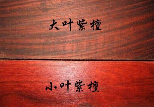 小葉紫檀木怎么鑒別_鑒別小葉紫檀木料的方法_小葉紫檀木料怎么鑒別