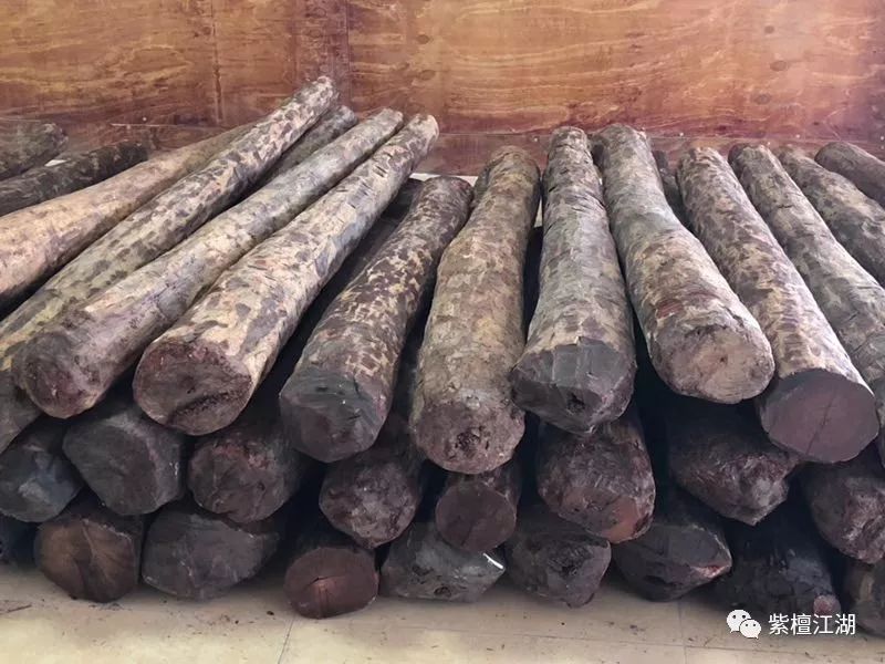 一般紫檀木多少一公斤_紫檀木一般多少顆_紫檀木一般在什么價位