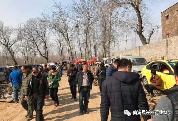 崖柏的文玩價值_崖柏現(xiàn)在為什么一文不值_崖柏文章
