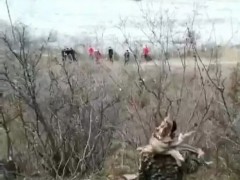 崖柏：現(xiàn)在不收藏，未來(lái)悔半生?。?！