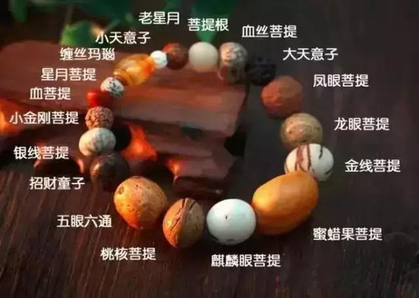 菩提子手串是塑料的嗎_菩提手串是干嘛的_菩提子手串是什么原料做的
