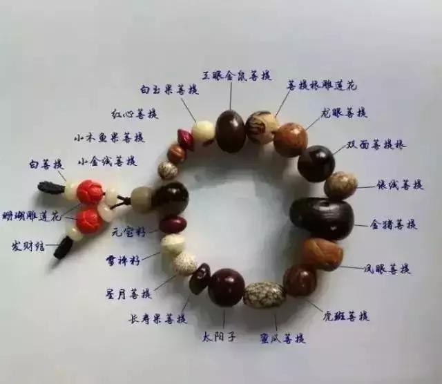 菩提子手串是什么原料做的_菩提手串是干嘛的_菩提子手串是塑料的嗎