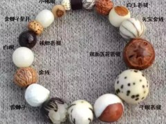 科普下手串中的“十八籽”和“十八子”