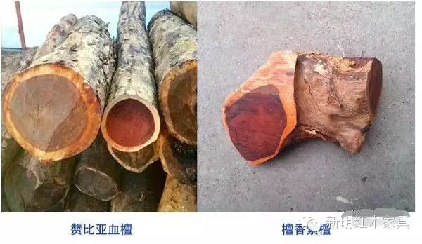 小葉紫檀木大葉紫檀木_紫檀是小葉好還是大葉好_大葉紫檀和小葉紫檀的區(qū)別