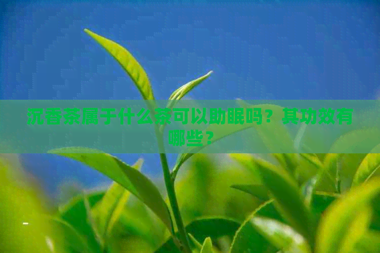 沉香葉茶_沉香葉茶怎么制作_沉香葉茶屬于什么茶