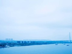 木秀于林，方寸琢心 中國玉石雕刻大師林金波