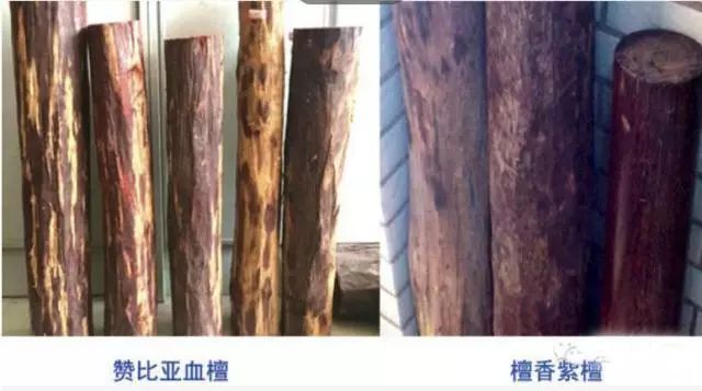如何辨別小葉紫檀_辨別小葉紫檀的方法_辨別小葉紫檀真假