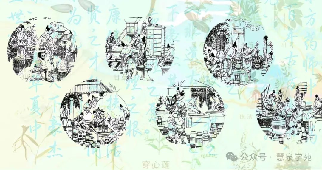 中藥沉香曲功效作用與禁忌_中藥沉香曲的功效與作用_中藥沉香曲功效作用及禁忌