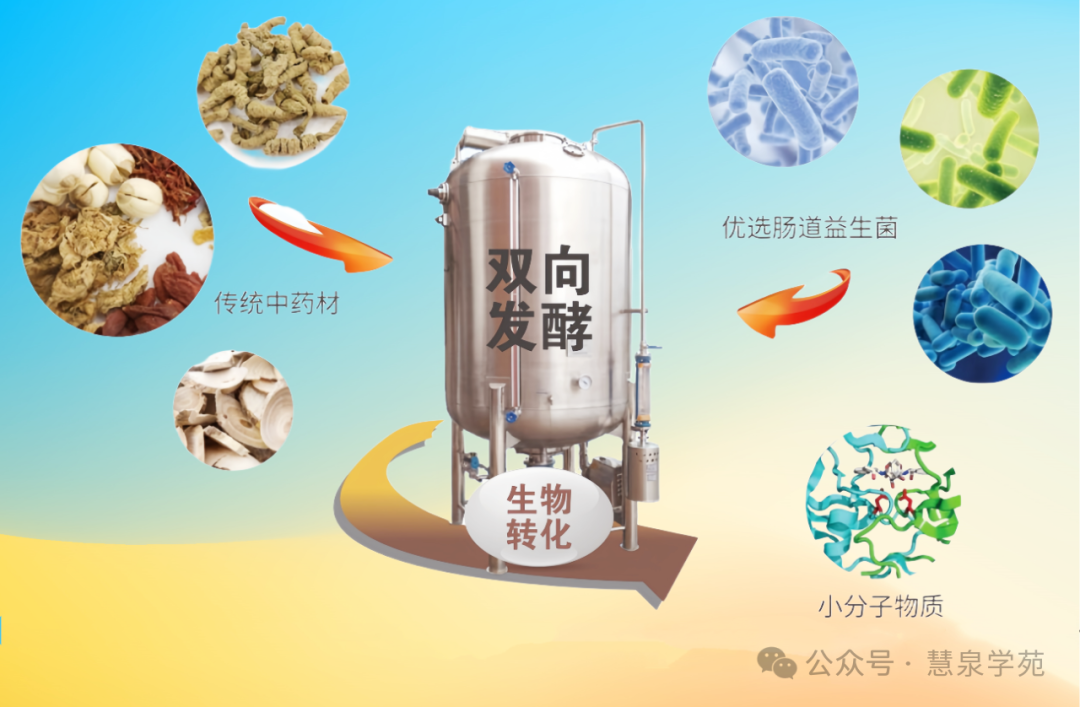 中藥沉香曲功效作用與禁忌_中藥沉香曲功效作用及禁忌_中藥沉香曲的功效與作用
