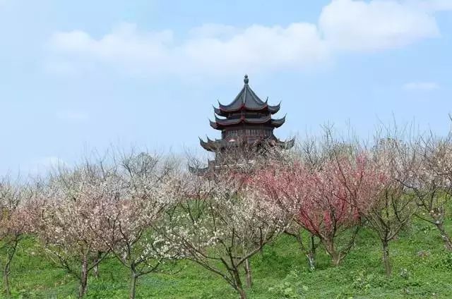 不銹鋼梅花管圖片_不銹鋼梅花雕塑_雕花不銹鋼板