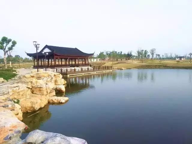不銹鋼梅花雕塑_雕花不銹鋼板_不銹鋼梅花管圖片