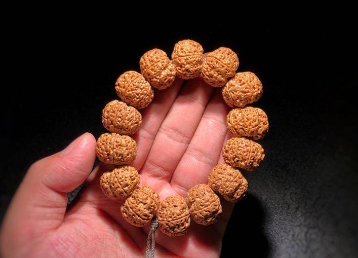 金剛菩提是哪里產(chǎn)的_金剛菩提是什么_金剛菩提是什么意思