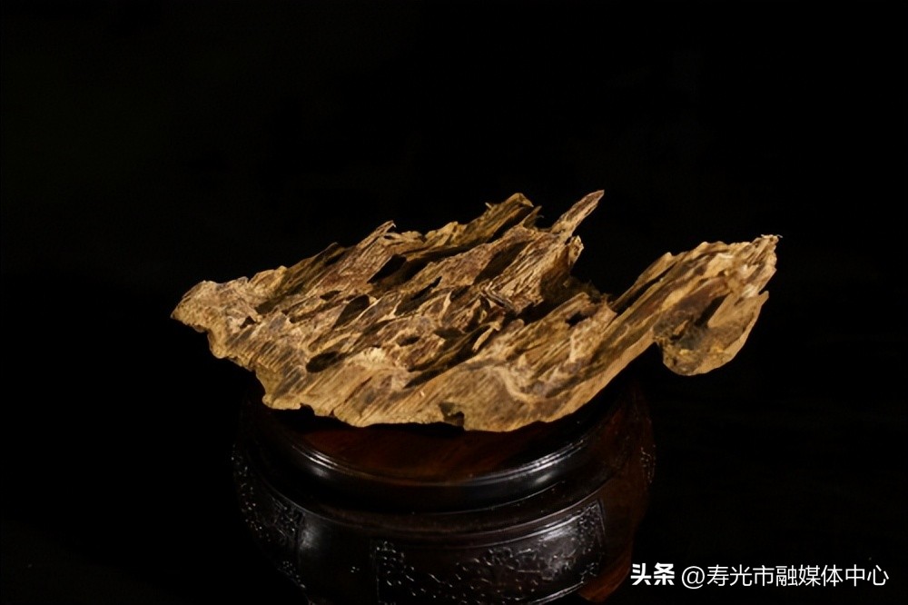小葉紫檀貴還是海南黃花梨貴_小葉紫檀為什么這么貴_小葉紫檀貴不貴